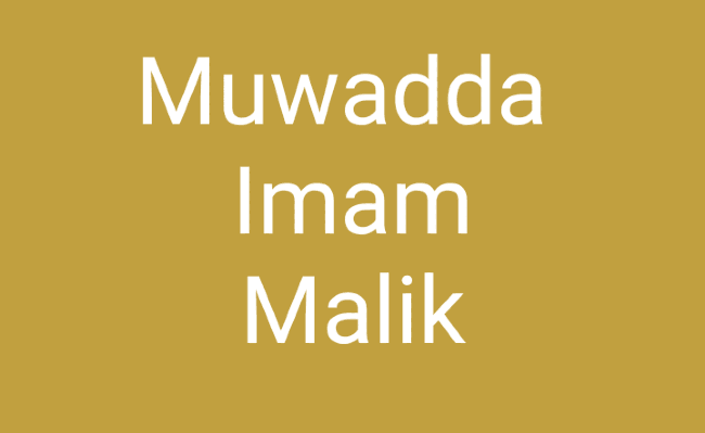 Muwadda malik