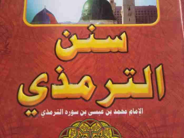 SUNANUT TIRMIZI